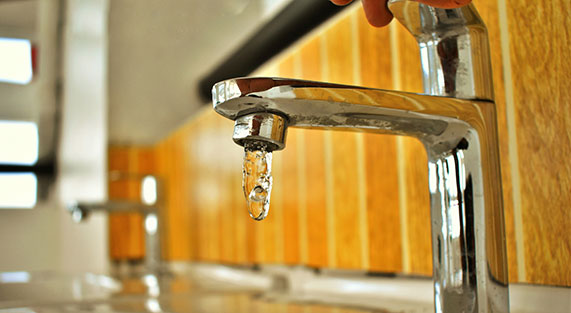 Faucets and kitchen accessories